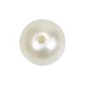 Floristik24 Beads for threading craft beads cream white 6mm 300g