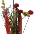 Floristik24 Dried flowers bouquet with meadow flowers pink DIY set H30-35cm