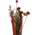 Floristik24 Dried flowers bouquet with meadow flowers pink DIY set H30-35cm