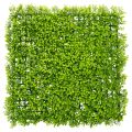 Floristik24 Artificial boxwood plant mat 55x55 cm for decorative wall design