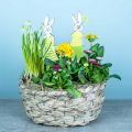 Floristik24 Planter made of hay, decorative basket, plant basket, flower basket oval set of 3