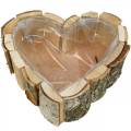 Floristik24 Planter, heart-shaped wooden bowl, birch wood planter, heart bowl 27 × 28cm