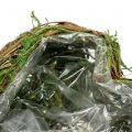 Floristik24 Plant heart moss and vine 30cm x 20cm