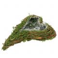 Floristik24 Plant heart moss and vine 30cm x 20cm
