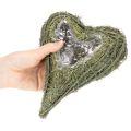Plant heart made of natural material with foil insert, 22cm, 2 pieces | Floristik24.ie