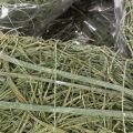 Natural plant heart for floristry with foil, 25cm | Floristik24.ie