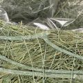 Heart-shaped bowl made of natural grass with planting foil, 38cm | Floristik24.ie