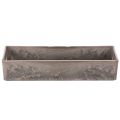Compact rectangular tray, versatile use for decoration and planting, 23cm | Floristik24.ie