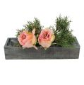 Floristik24 Wooden plant box gray 30cm x 9.5cm x 6cm