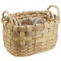 Floristik24 Plant basket cachepot with handles nature 22/27/33cm set of 3