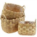 Floristik24 Plant basket cachepot with handles nature 22/27/33cm set of 3