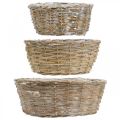 Floristik24 Plant basket wicker basket white washed Ø21.5/26/Ø31cm set of 3