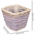Square plant basket with foil, decorative planter, 14cm, 4 pieces | Floristik24.ie