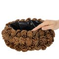 Round pine cone planting bowl, 30cm | Floristik24.ie