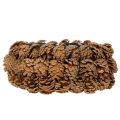 Round pine cone planting bowl,