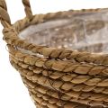 Floristik24 Plant basket seagrass basket with handles table decoration Ø30cm H11cm