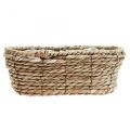 Floristik24 Plant basket seagrass basket oval decorative basket 28×15×10cm