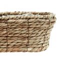Floristik24 Plant basket seagrass basket oval decorative basket 28×15×10cm