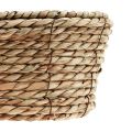 Floristik24 Plant basket seagrass basket oval decorative basket 32×19×12cm