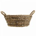 Floristik24 Plant basket round seagrass basket with handles decorative basket Ø25cm H9cm