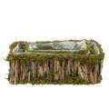 Floristik24 Plant basket square moss, bark 34 × 15.5 / 24.5 × 11cm, set of 2