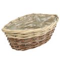 Floristik24 Plant basket set of 3 48cm / 38cm / 30cm cream-brown