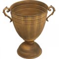 Plant pot rust look cup vase metal Ø22,5cm H32,5cm | Floristik24.ie