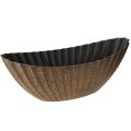 Floristik24 Plant bowl with grooves oval anthracite gold 41.5×16×16cm