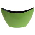 Floristik24 Plant boat green decorative bowl oval 20cmx9cmx12cm