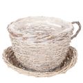Floristik24 Basket cup with saucer decoration large table decoration 34cm