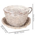 Basket cup with saucer decoration large table decoration 34cm | Floristik24.ie