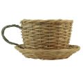 Floristik24 Plant pot decorative cup willow plant basket natural green Ø23cm