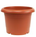 Floristik24 Plant pot “Oliver” terracotta Ø15cm - 45cm, 1pc