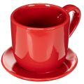 Floristik24 Large decorative cup with saucer, suitable as a plant pot, 17cm