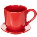 Large decorative cup with saucer, suitable as a plant pot, 17cm | Floristik24.ie
