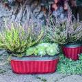 Floristik24 Oval plant pot red, silver zinc 26 × 13cm H11cm