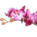 Floristik24 Artificial orchids in pot Phalaenopsis artificial flowers orchids pink 34cm