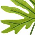 Floristik24 Philodendron Leaf Green 40cm