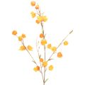 Floristik24 Artificial Chinese lantern plant, Physalis branch with blossoms, 95cm