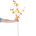 Artificial Chinese lantern plant, Physalis branch with blossoms, 95cm | Floristik24.ie