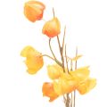 Artificial Chinese lantern plant, Physalis branch with blossoms, 95cm | Floristik24.ie