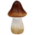 Floristik24 Mushroom mix made of clay-ceramic brown 9cm 8pcs