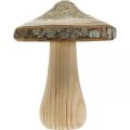 Floristik24 Wooden mushroom bark and glitter deco mushrooms wood H8.5cm 4pcs