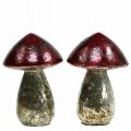 Floristik24 Deco mushrooms glass red vintage autumn decoration Ø9cm H13.5cm 2pcs