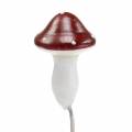Floristik24 Toadstools on wire red, white 2cm 48pcs