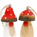 Floristik24 Mushroom to hang wood white, brown assorted 6.5 / 8cm 8pcs