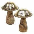 Floristik24 Wooden mushroom golden, natural mango wood Ø6.8cm H9.8cm 2pcs