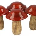 Floristik24 Mushroom mango wood red Ø7cm wood decoration autumn H9cm 4pcs
