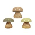 Floristik24 Wooden Mushrooms Deco Mushrooms Wood Deco Beige, Green Ø5cm H5.5cm 12pcs