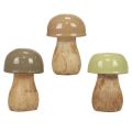 Floristik24 Wooden mushrooms decorative mushrooms wood beige, green Ø5cm 7.5cm 12pcs